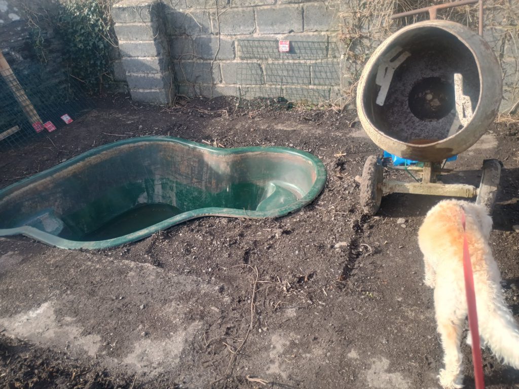 A picture of a green pond with a cement mixer and dog on the right of the picture.