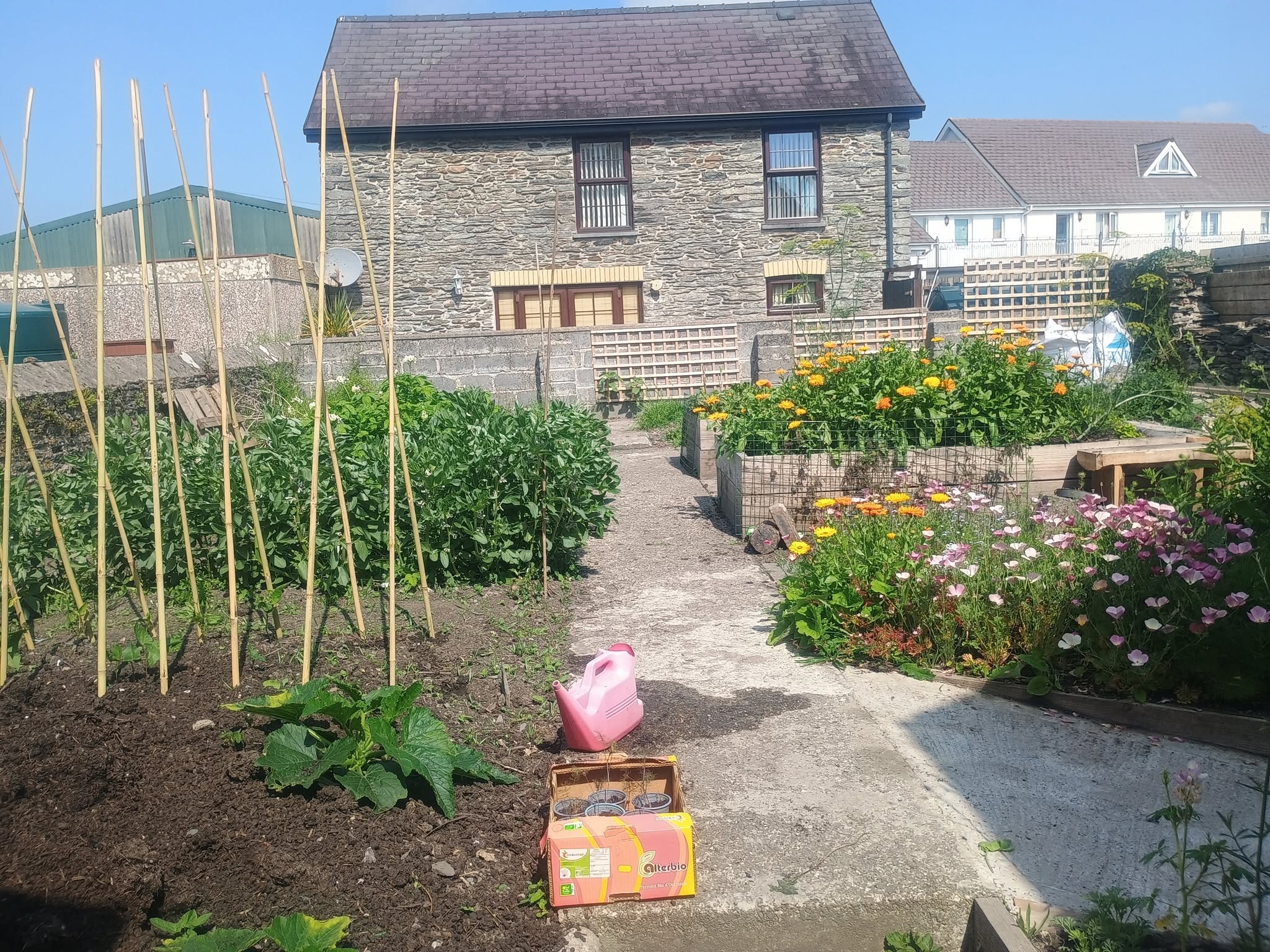 The heatwave proof garden (I hope)